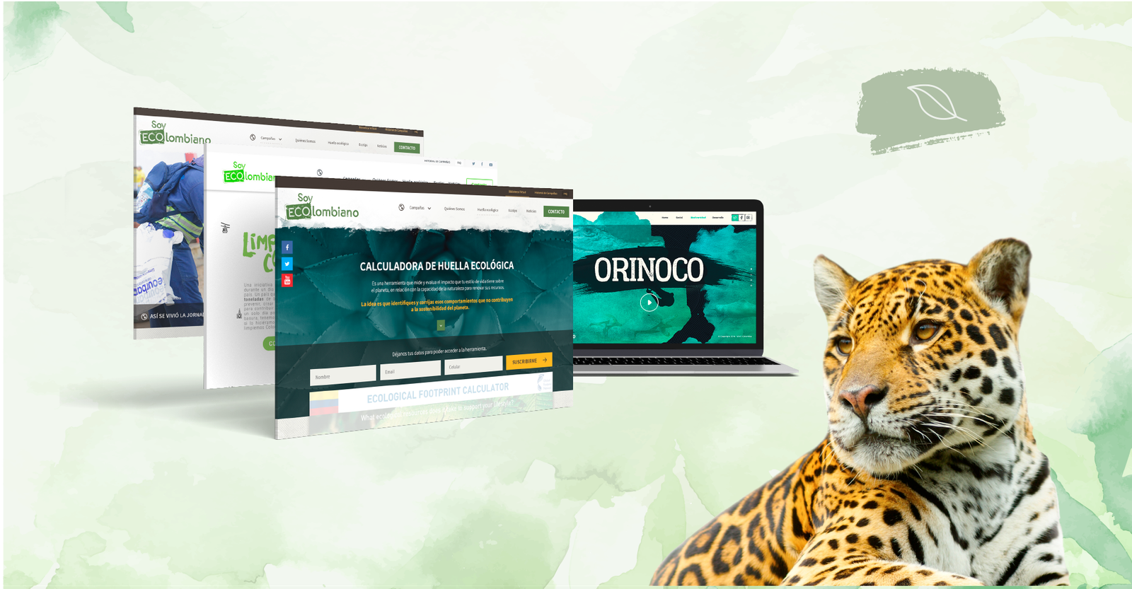 WWF — Orinoco